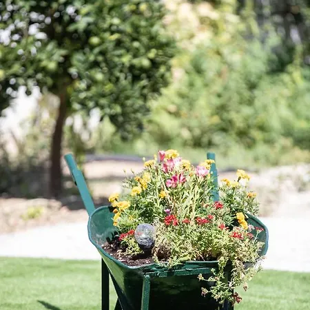 Garden In Ii Апартаменты Амаринтос