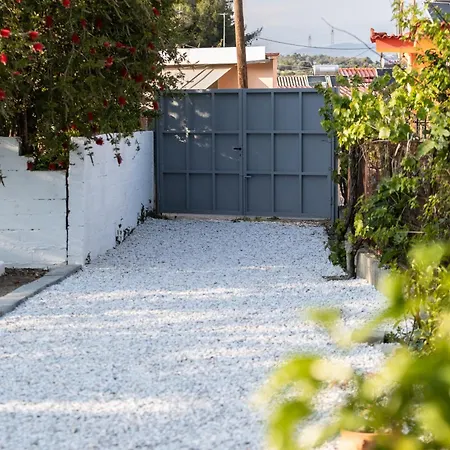 Garden In Ii Амаринтос